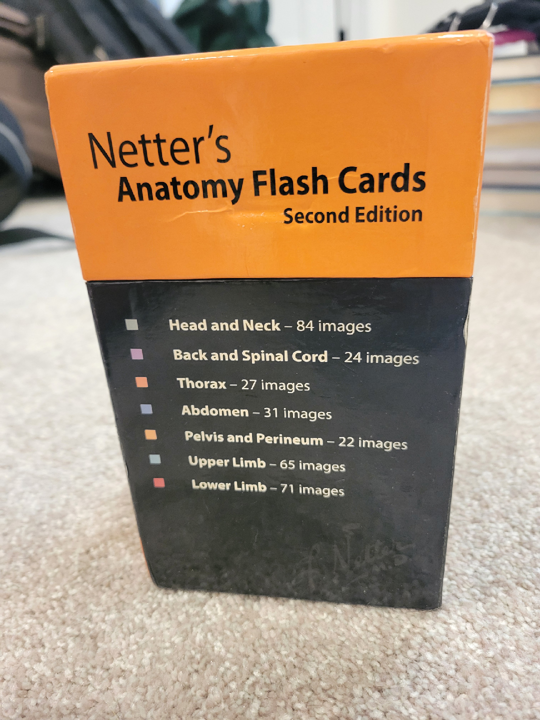 Netter's Anatomy Flash Cards, Second Edition - photo 2
