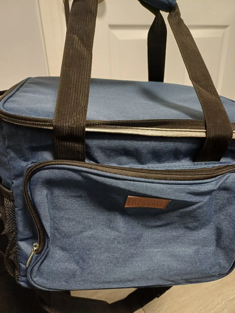 Blue Insulated Picnic/Lunch Bag thumbnail