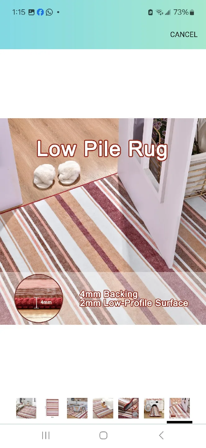 Striped Area Rug - 5x7 image indicator(7)