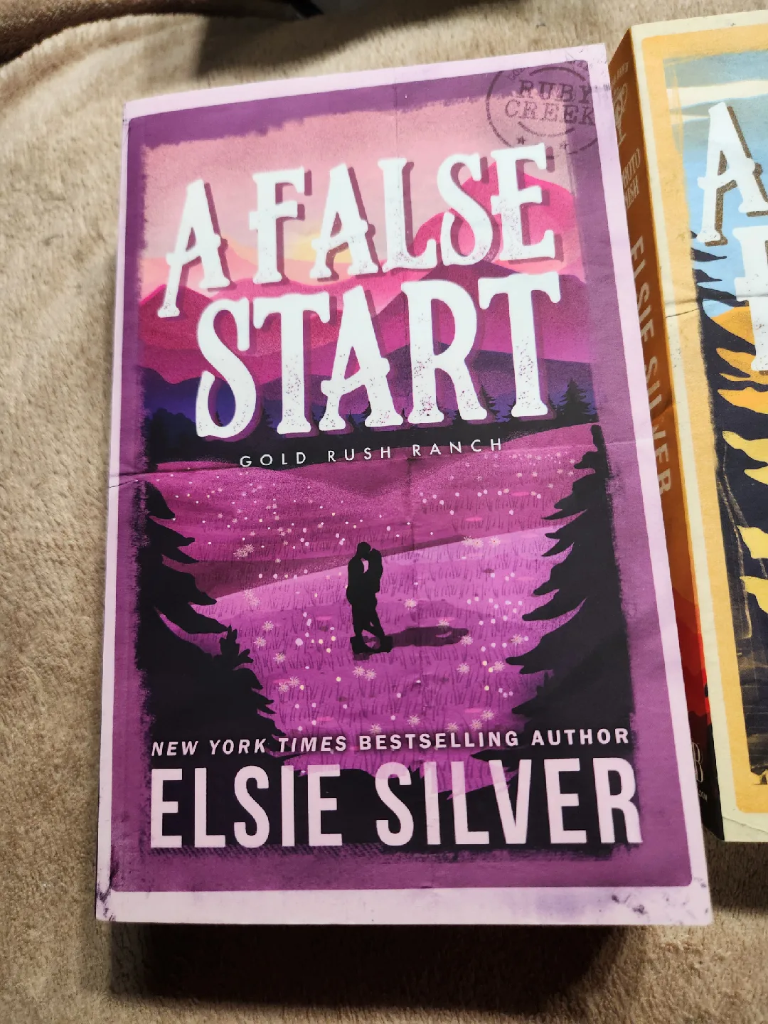 Elsie Silver: A Photo Finish & A False Start image indicator(3)