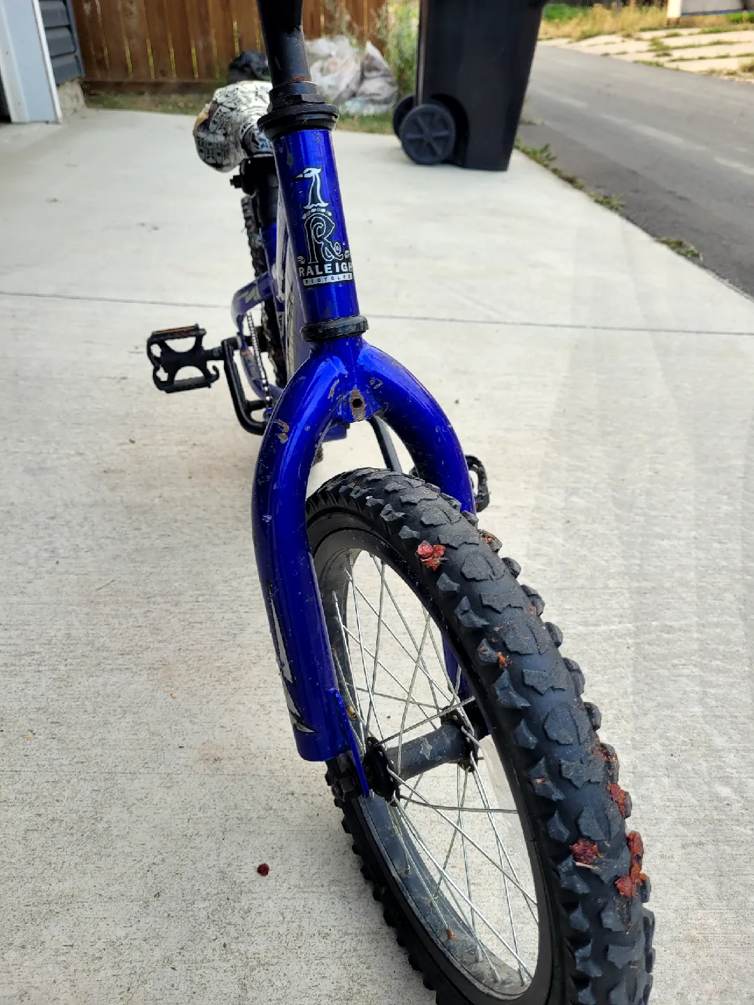 Raleigh Kids' Bike - Blue image indicator(4)