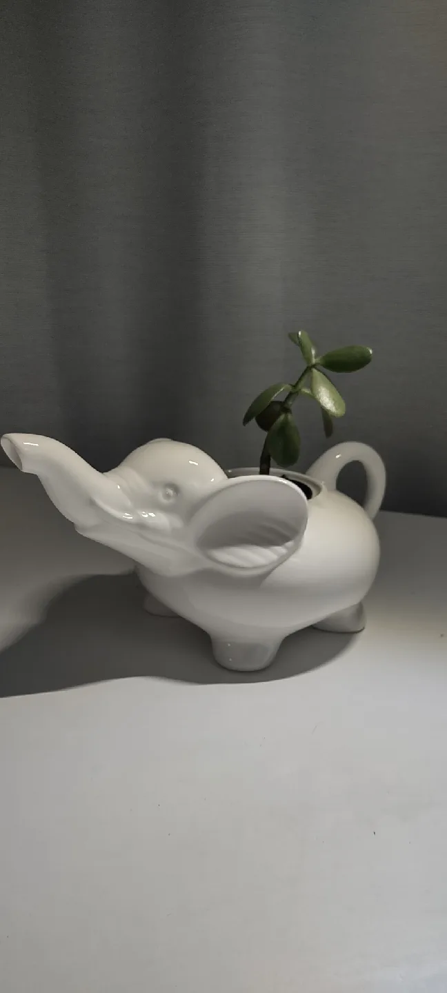 Elephant planter & Jade - Cute Home Decor image indicator(6)