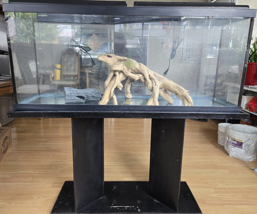55g Aquarium with Stand