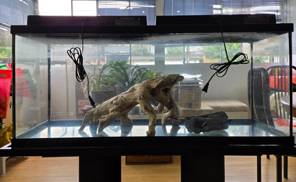 55g Aquarium with Stand image indicator(3)