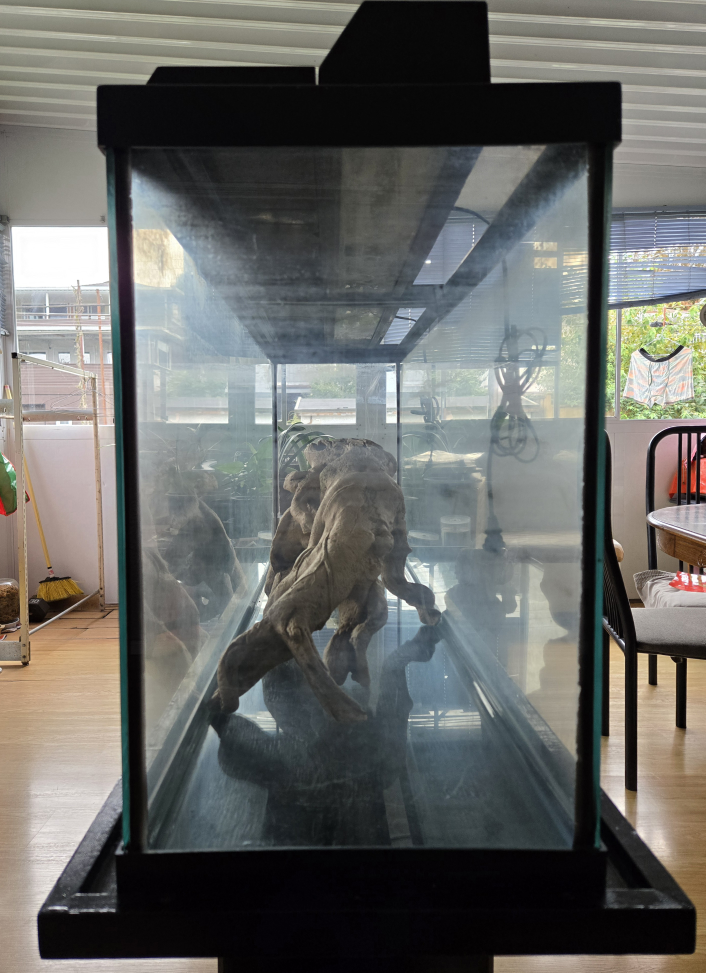 55g Aquarium with Stand - photo 5