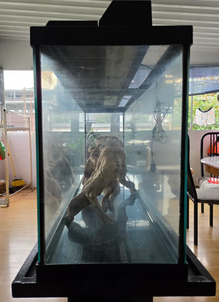 55g Aquarium with Stand image indicator(5)