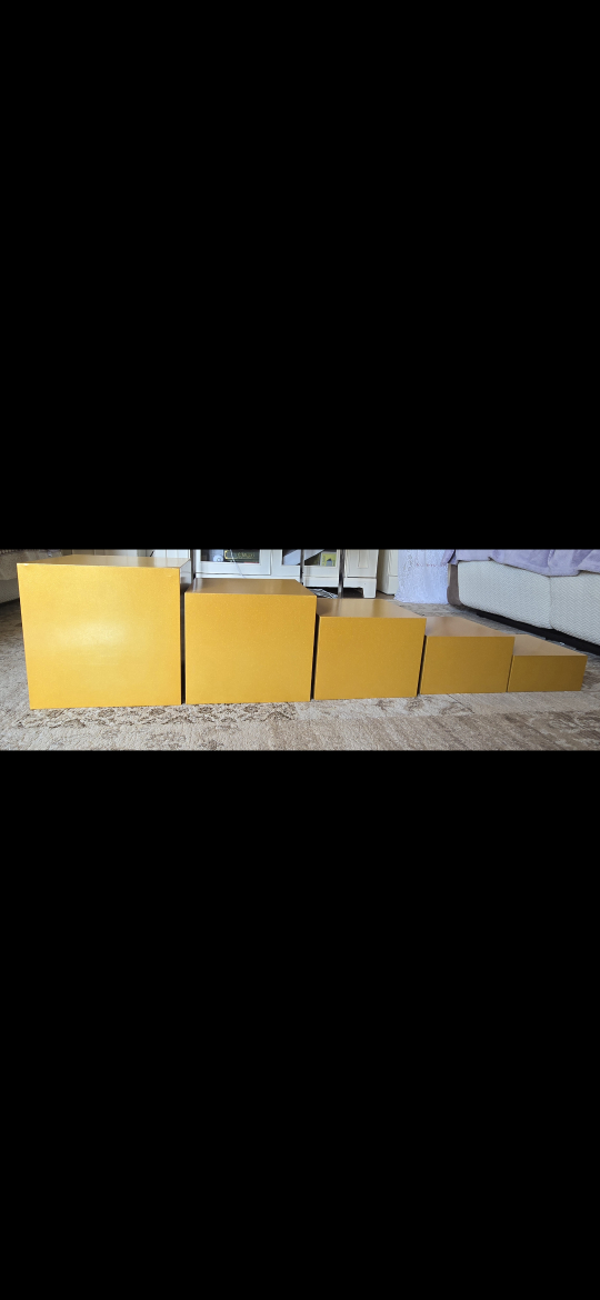 food riser - photo 2