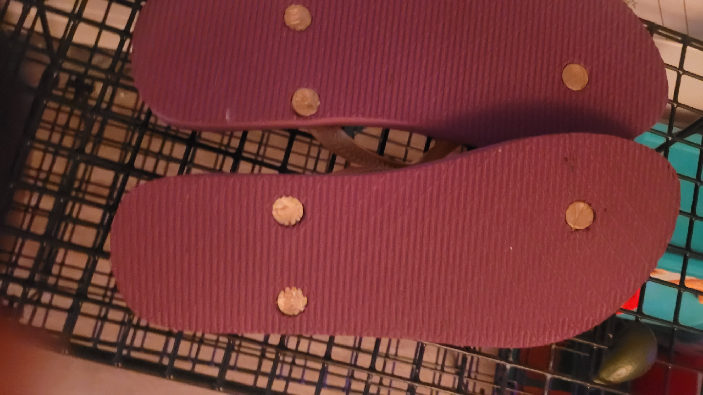 Havaianas Flip Flops - Size 7/8 - Purple - photo 2