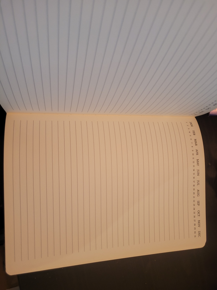 dotted journals and monthly planner - photo 4