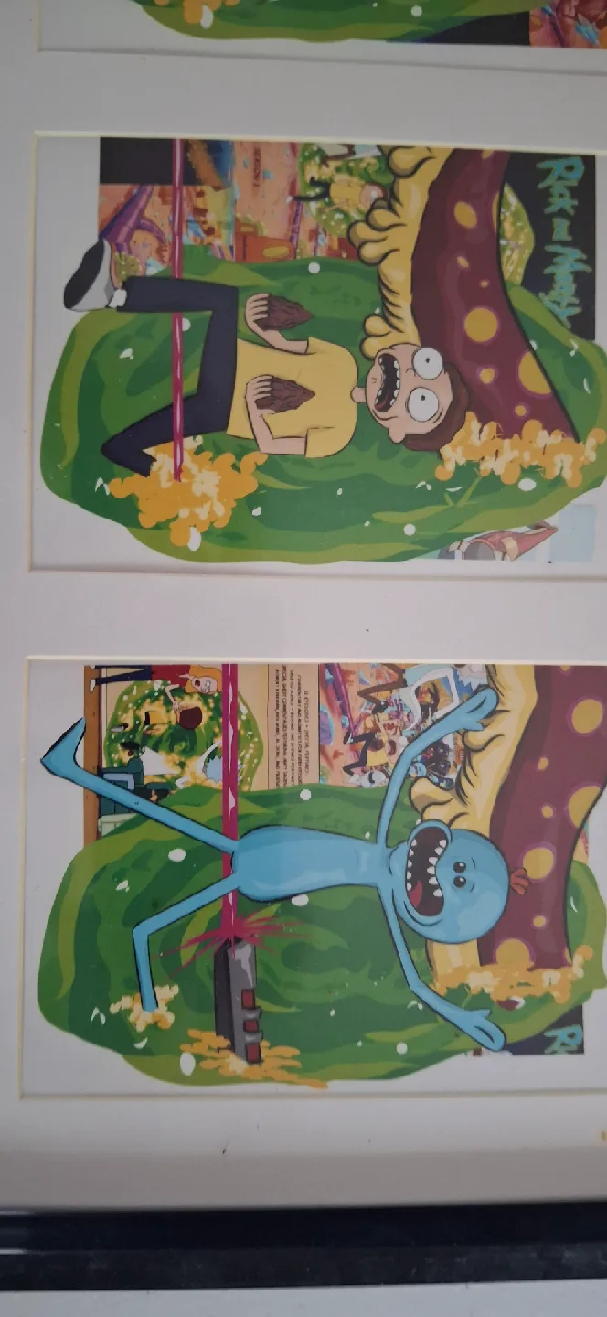 Rick and Morty Framed Art image indicator(4)