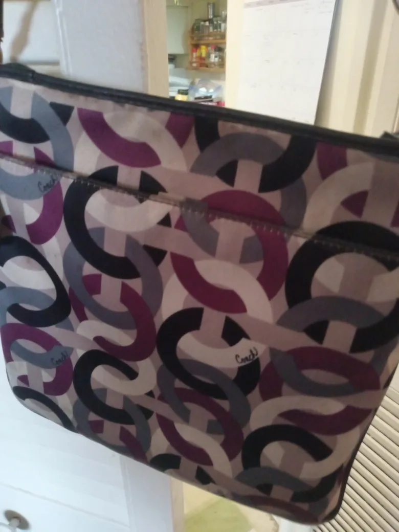 Coach Handbag image indicator(4)