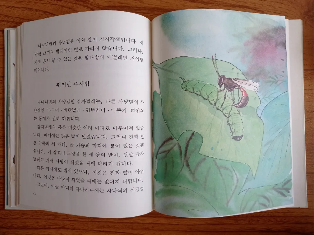 프뢰벨 시트 파브르 선집 곤충기 image indicator(4)