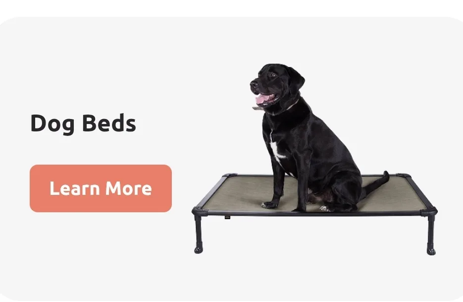 Veehoo Elevated Dog Bed, Size XXL🥕 thumbnail