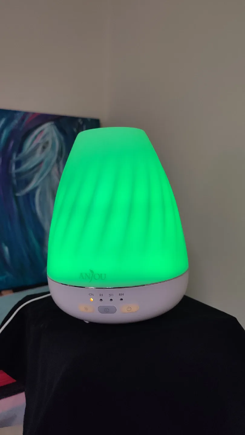 Anjou Aroma Diffuser and box of aromatherapy oils image indicator(4)