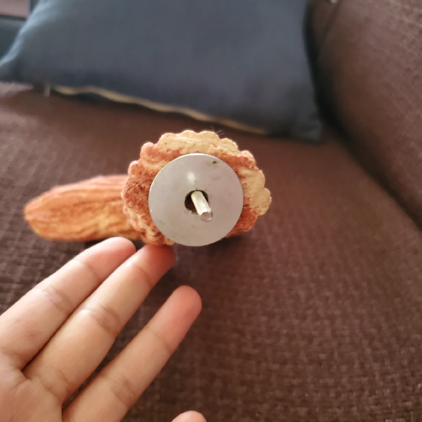 Large Bird Perch image indicator(2)