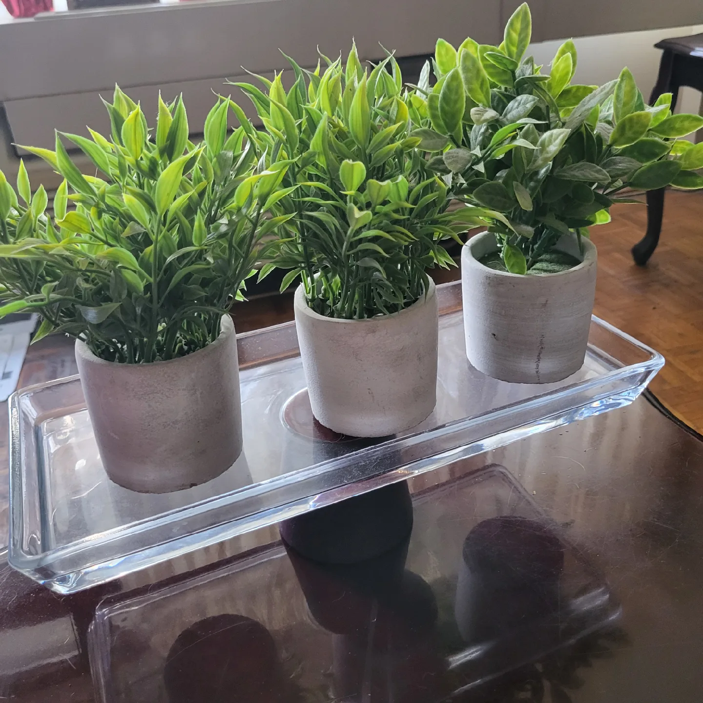 Artificial Potted Plants with Tray thumbnail