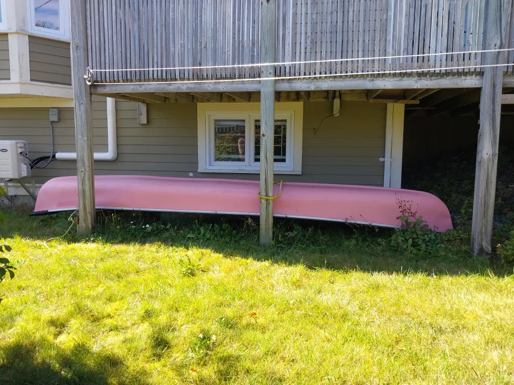 Canoe (Coleman 17 foot RAM-X and paddles) thumbnail