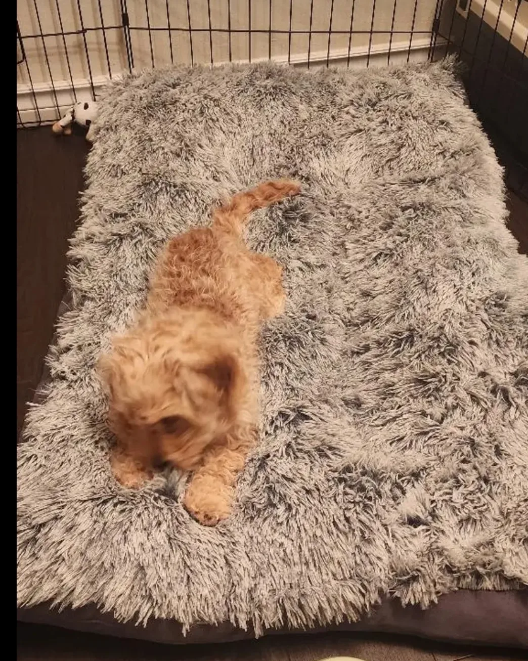 Grey Fluffy Pet Bed image indicator(2)