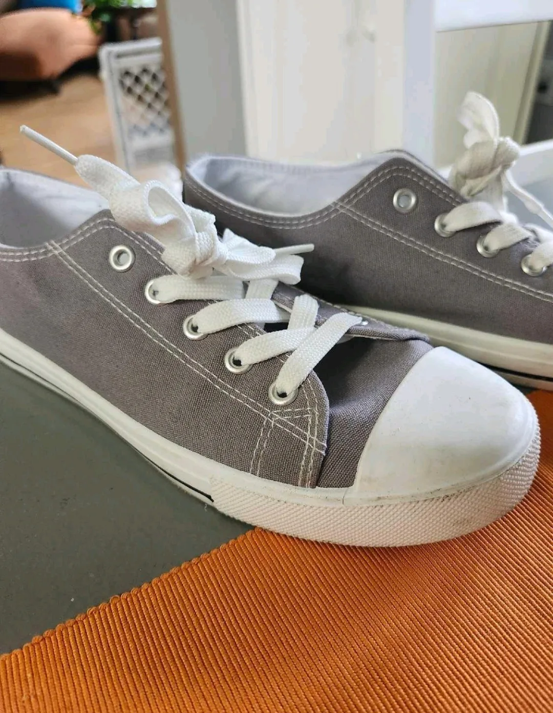 Grey Canvas Sneakers - Size 8 image indicator(2)