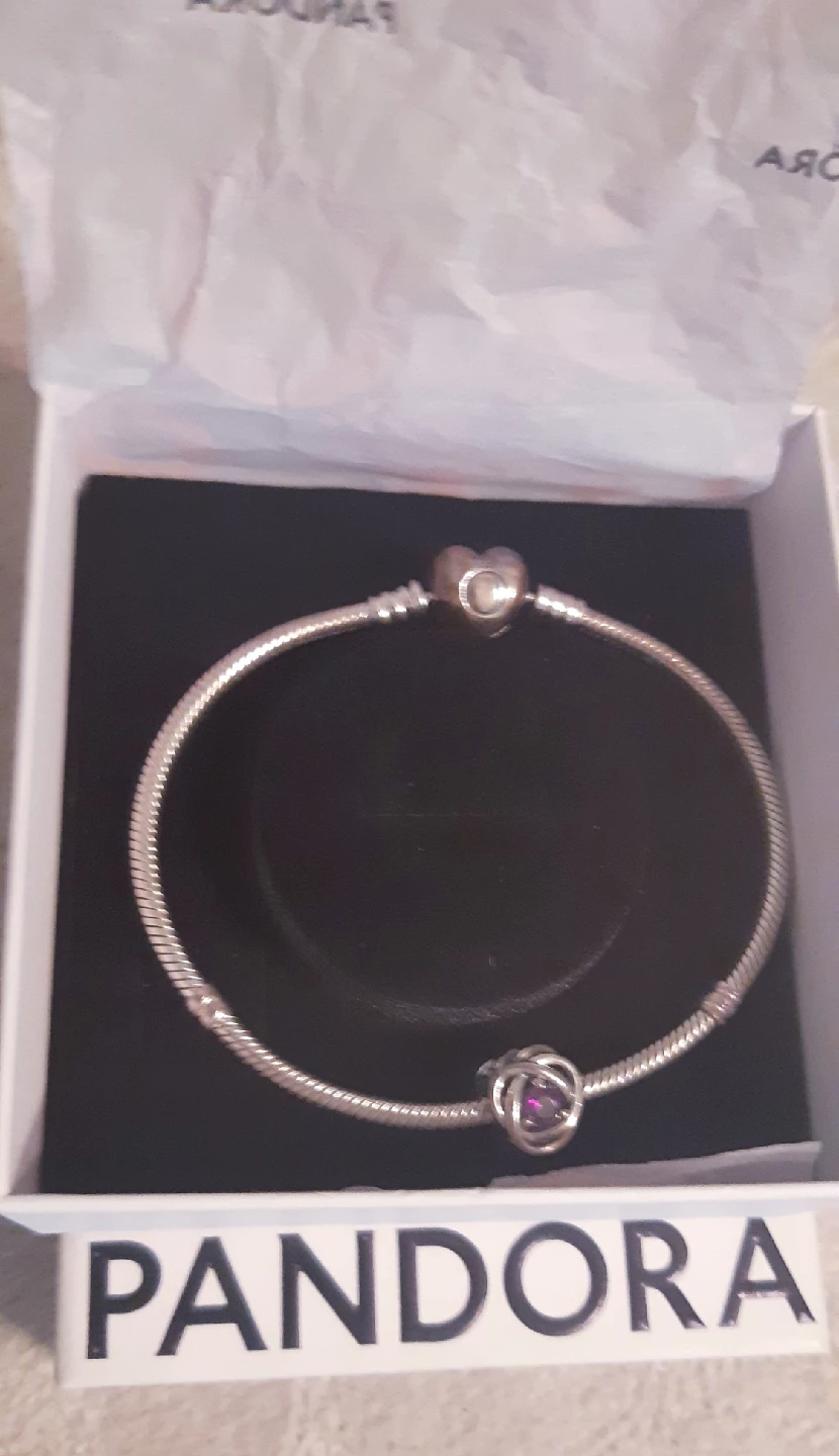 Pandora Charm Bracelet with Box