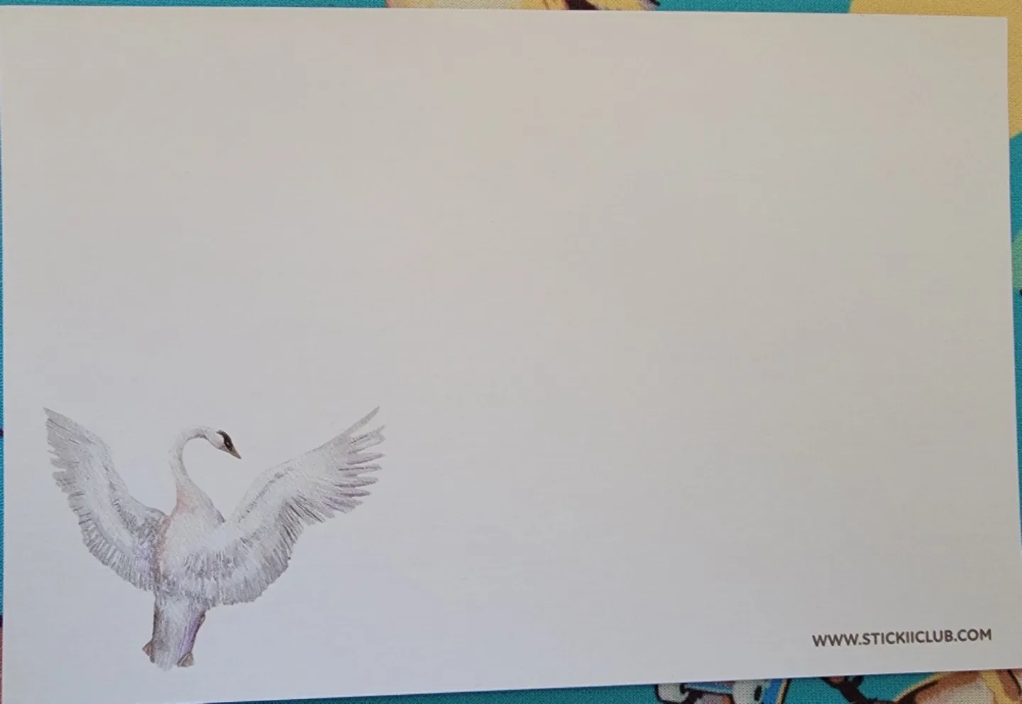 🥕 3 Stickii Club Postcards image indicator(2)