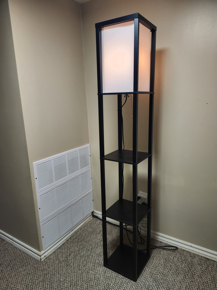 Black Shelf Floor Lamp