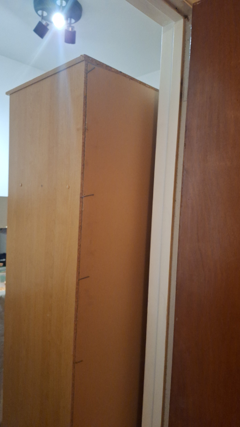 Wooden Armoire with Shelves and Hanging Rod - photo 3
