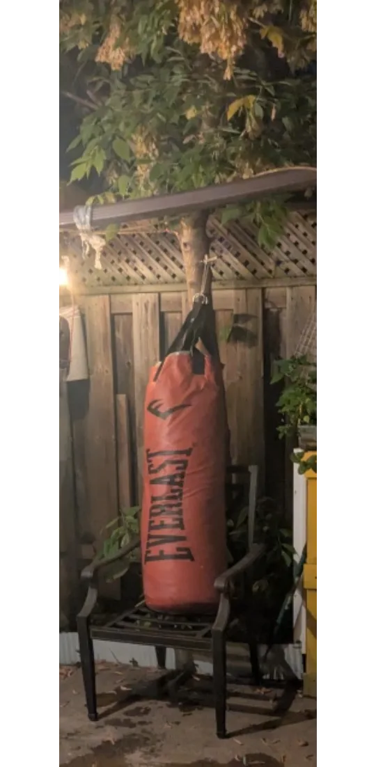 Everlast Punching Bag (RED) image indicator(4)