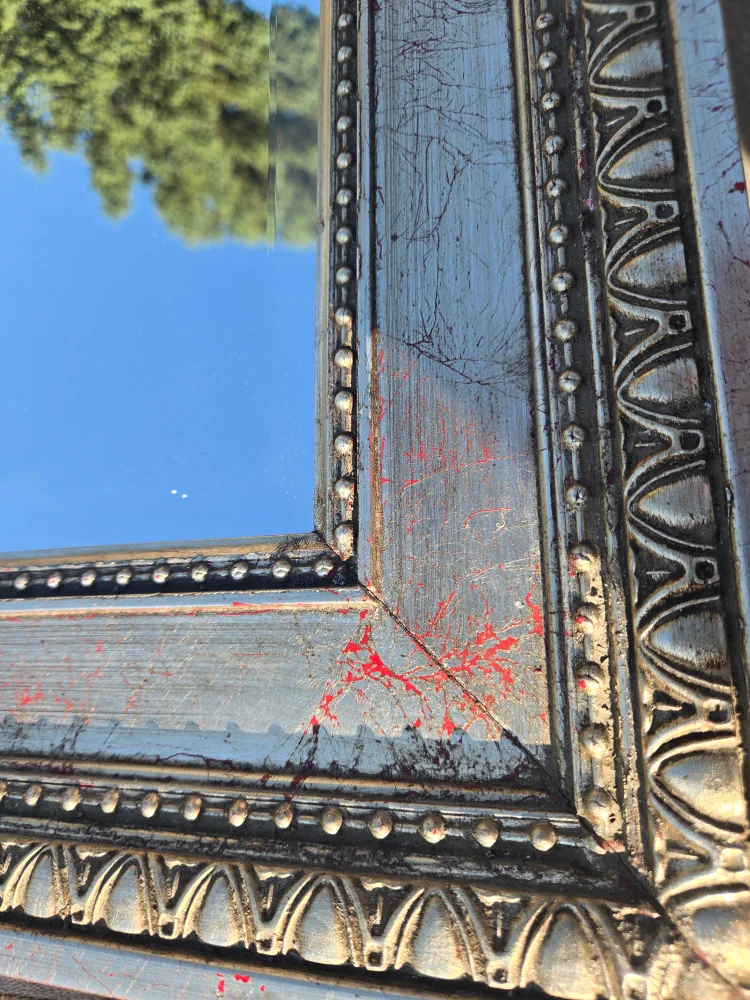 Framed Mirror image indicator(2)