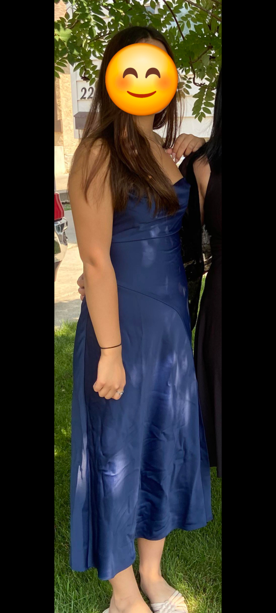 Navy Blue Slip Dress Name brand Ever New - photo 3