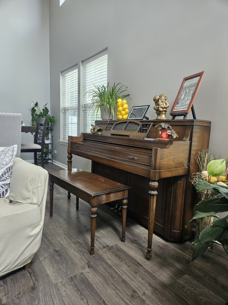 You Can Have My Piano. $0 - photo 3