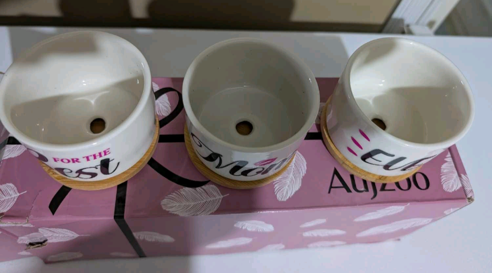 New Ceramic Succulent Pots - Set of 3 - photo 4