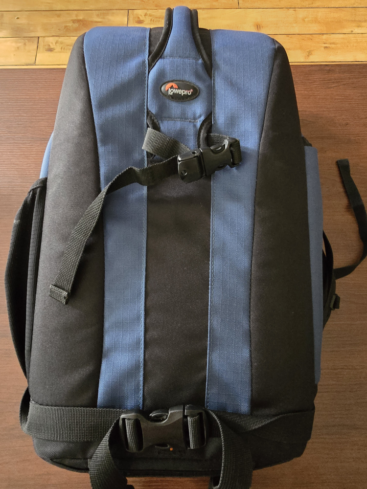 Lowepro Flipside 300 Camera Backpack