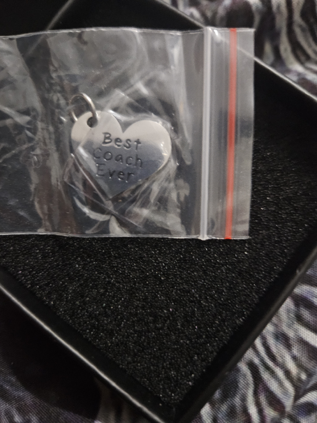 Delujouberst Coach Dog Tag Pendant - photo 2