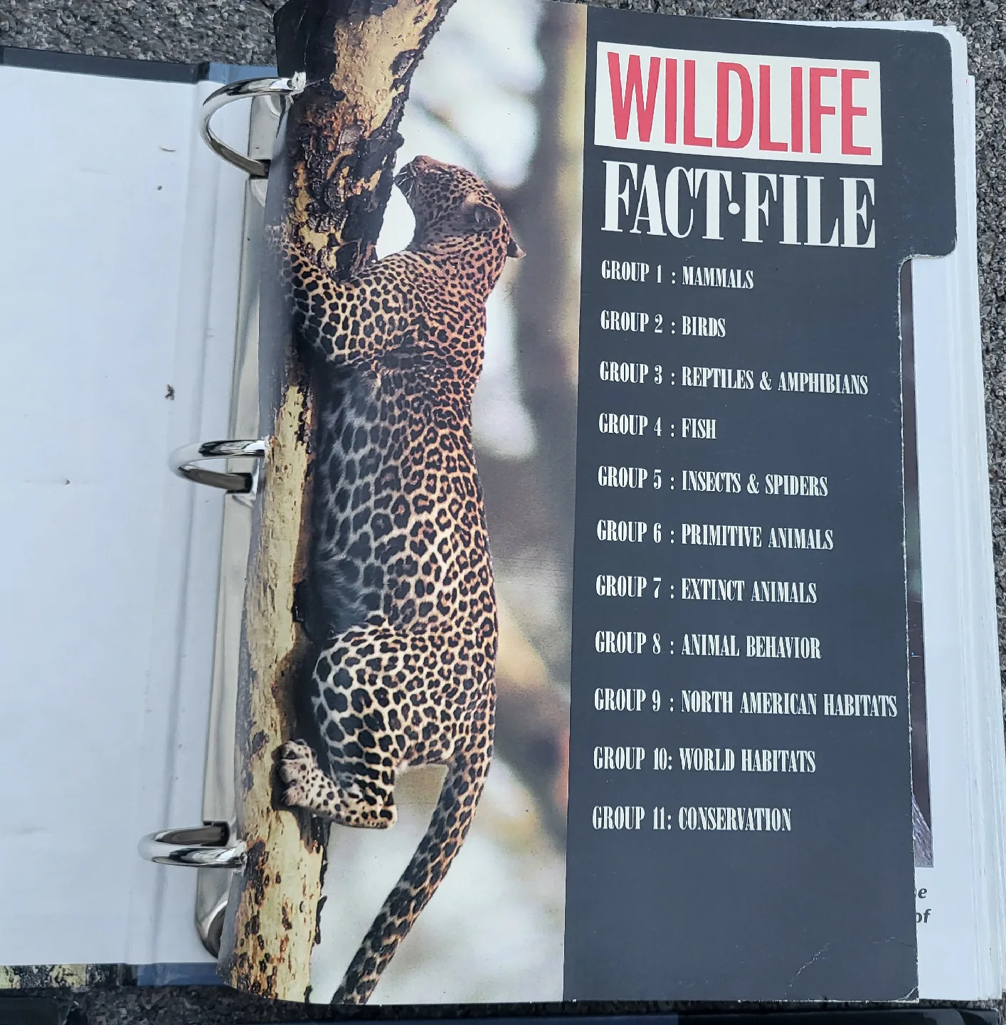 Wildlife Fact-File Binders image indicator(2)