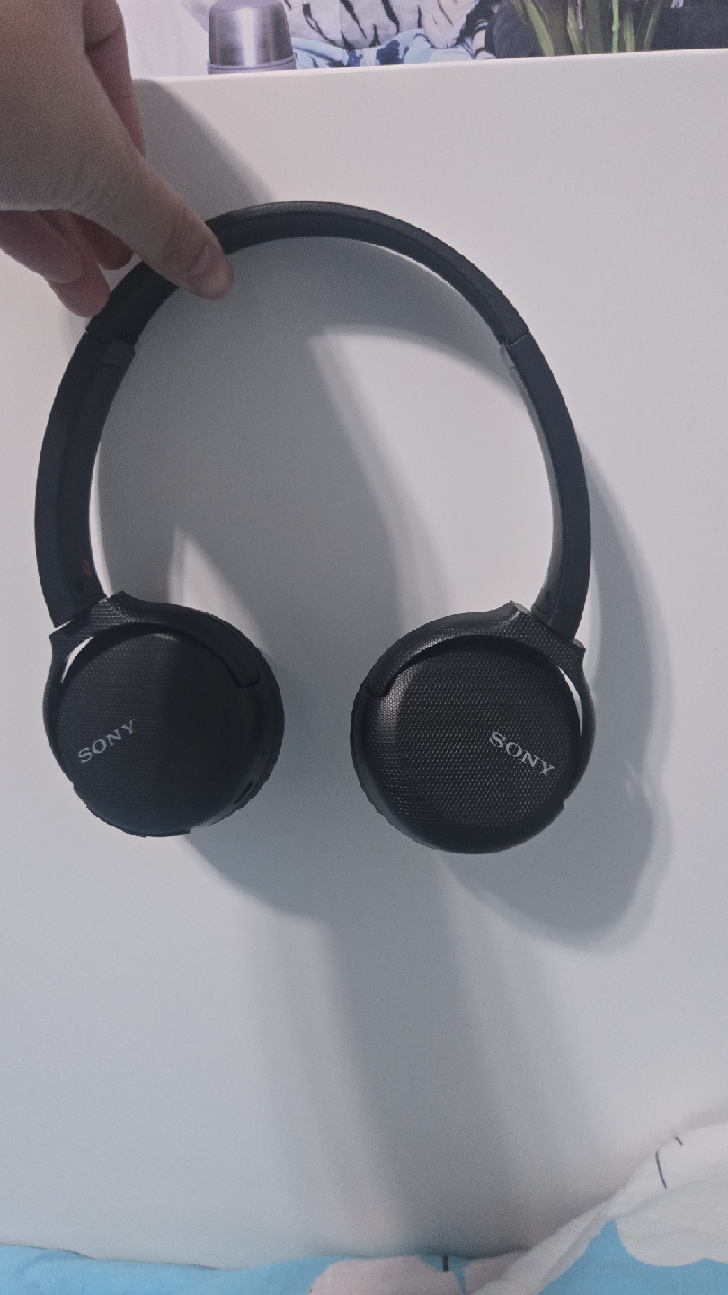Sony Wh-510 Series Wired On-Ear Headphones - Black