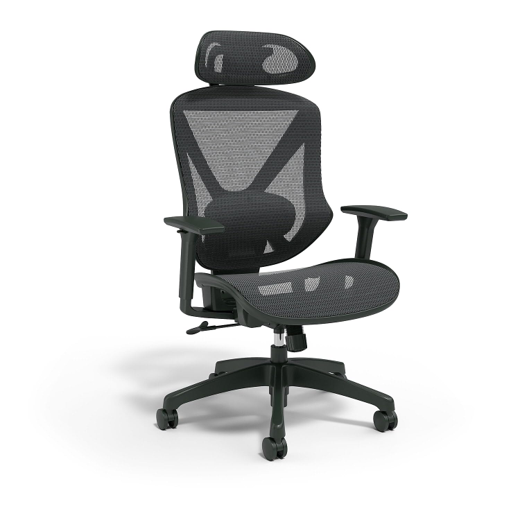 Staples Dexley Ergonomic Mesh Office Chair
