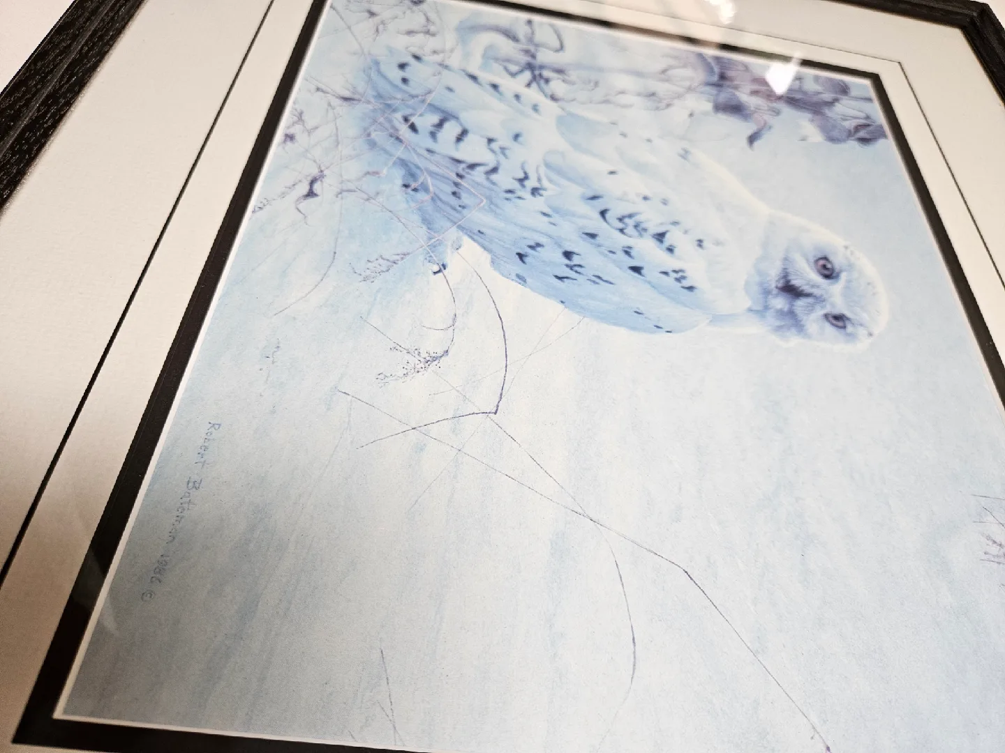 Robert Bateman 'Arctic Majesty' Framed Print image indicator(2)