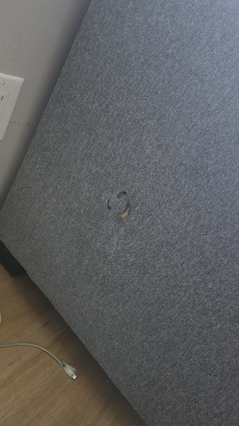 Grey Tufted Sofa - Some Damage - photo 3