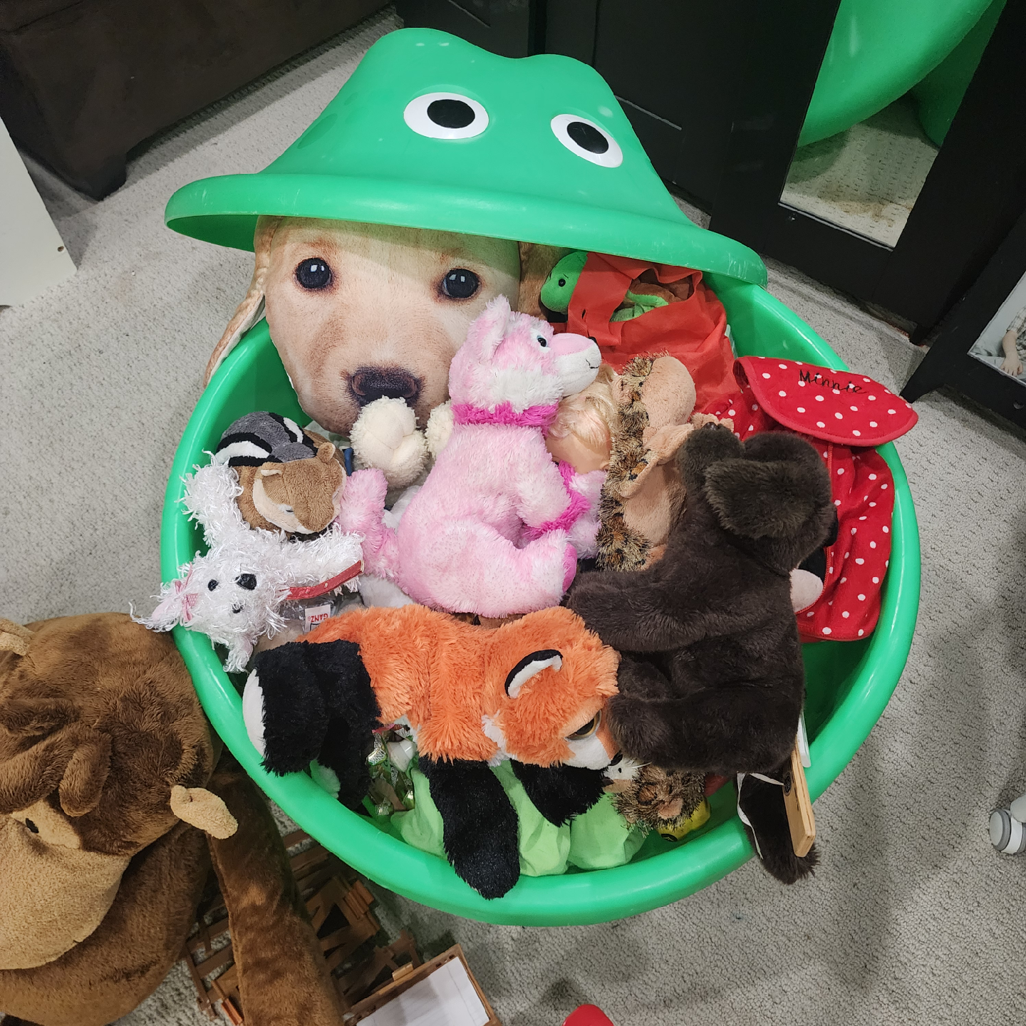 Toy Bin with Plush Toys FREEEEE - photo 3