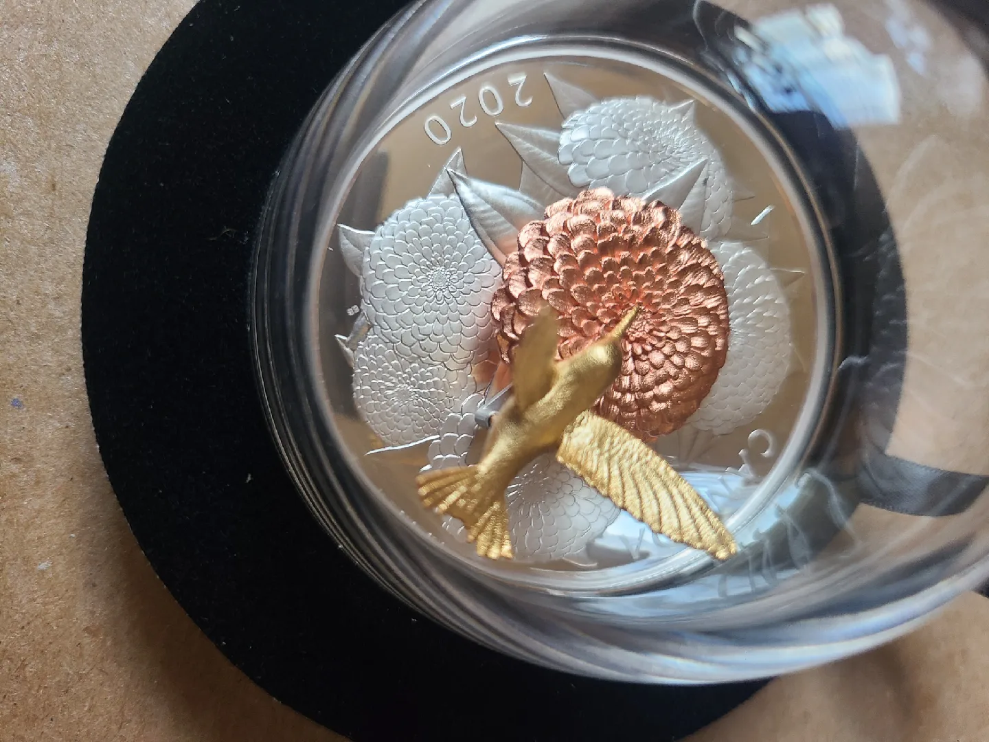 The Hummingbird and the Bloom 5oz Pure Silver Coin image indicator(4)