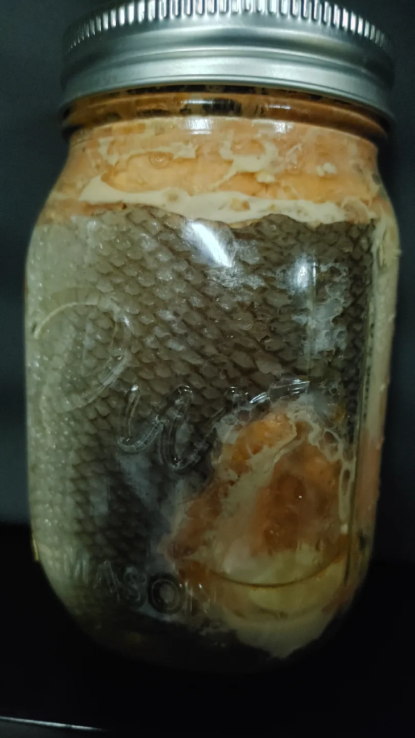 Mason Jar - Preserved food thumbnail