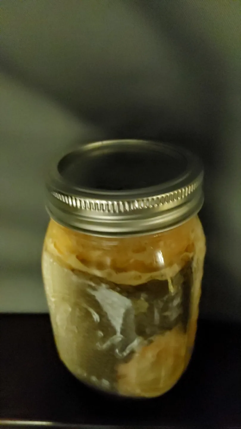 Mason Jar - Preserved food image indicator(2)