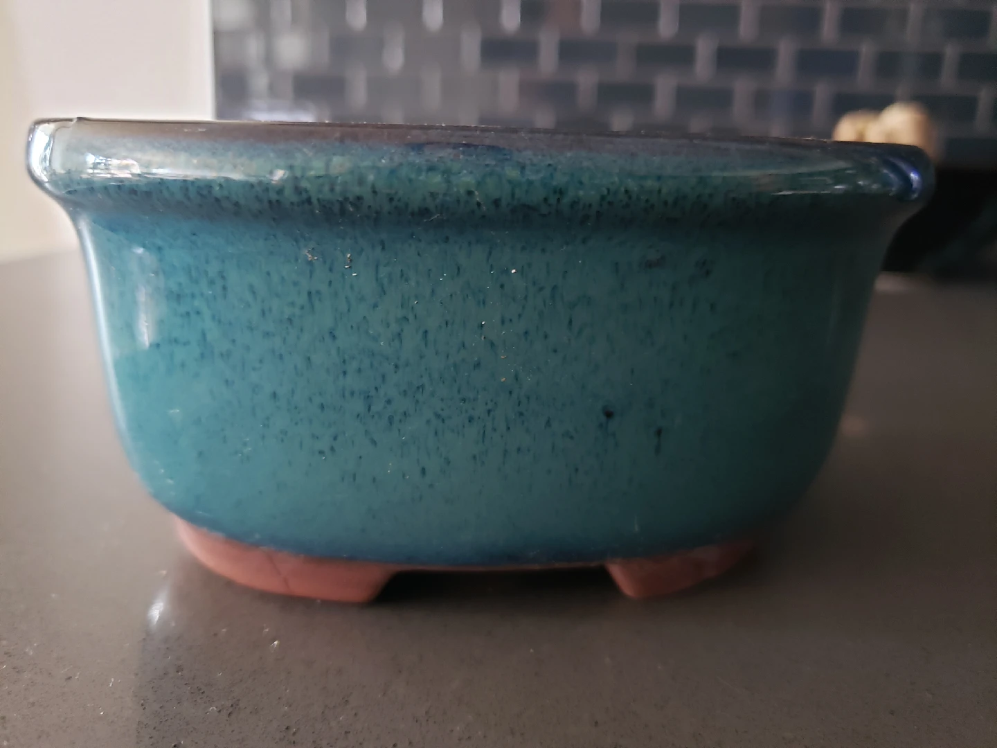 Blue Ceramic Bonsai/succulent Pot 🥕