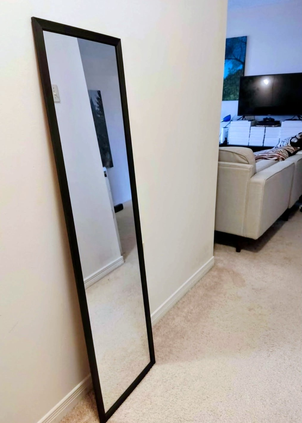 Full Length Mirror with 2 Black Frames and one white