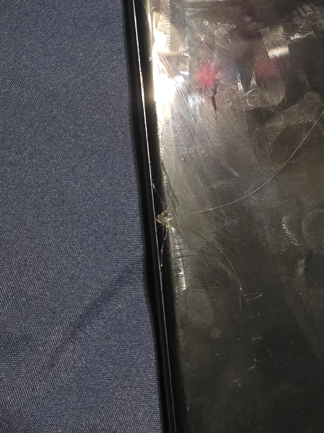 Samsung Galaxy s23 ultra - 256 gb - photo 4