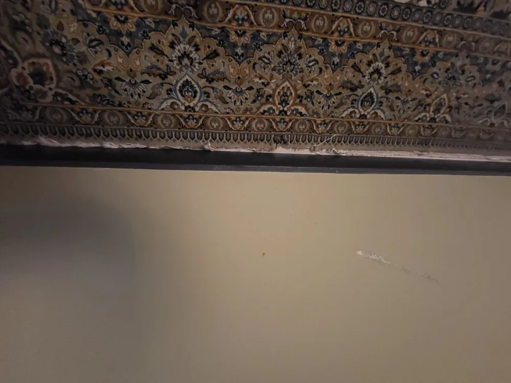 Persian Area Rug image indicator(5)