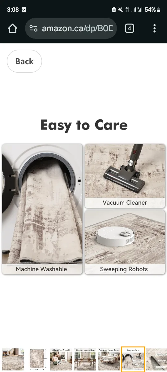 Abstract Neutral Area Rug image indicator(4)