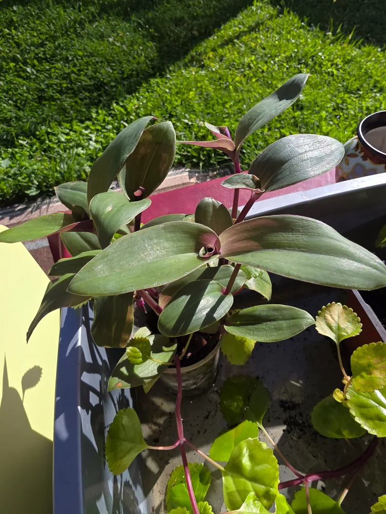 indoor image indicator(2)