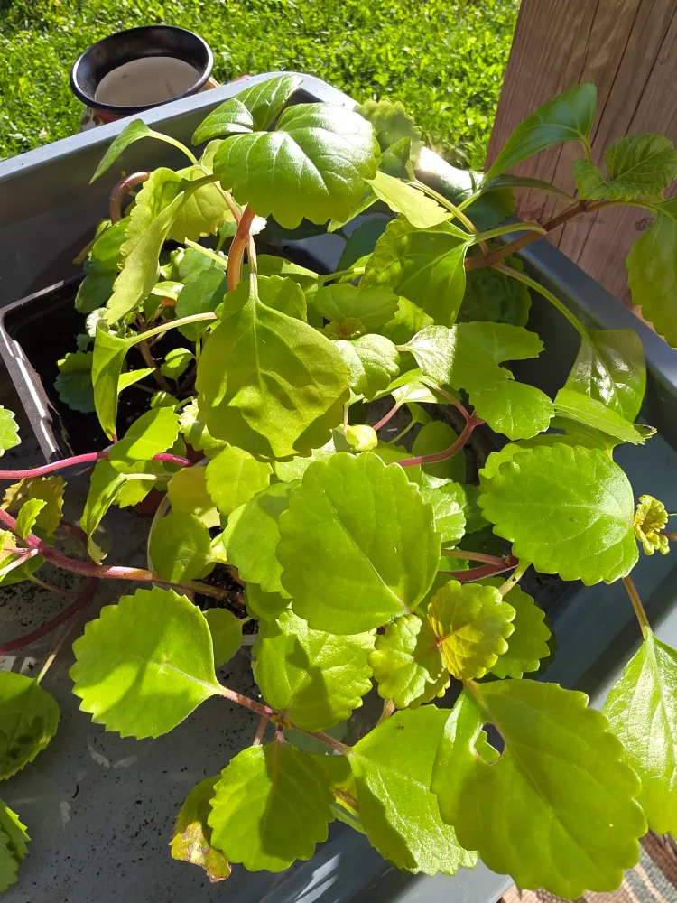 indoor image indicator(3)